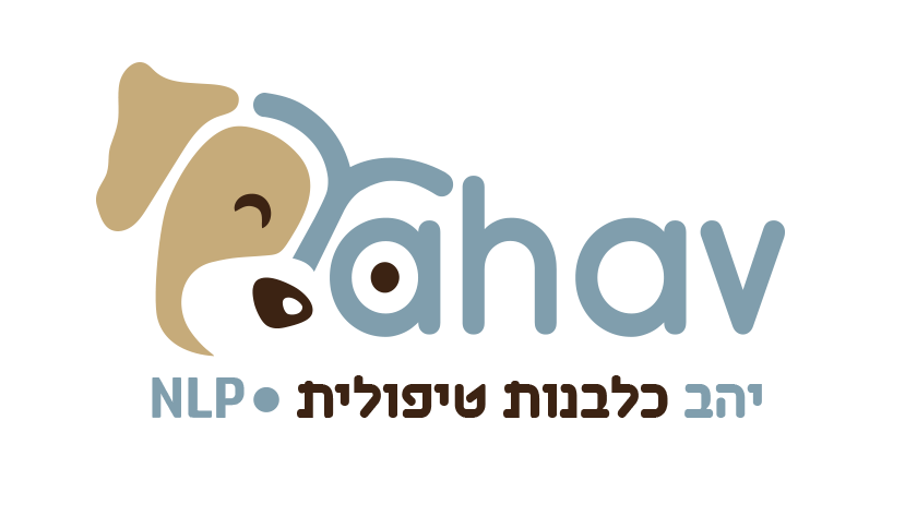 yhav logo